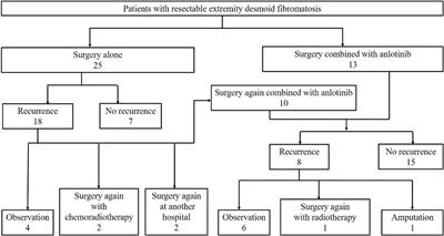 Surgery combined with anlotinib for local control of patients with resectable extremity desmoid fibromatosis: a retrospective study